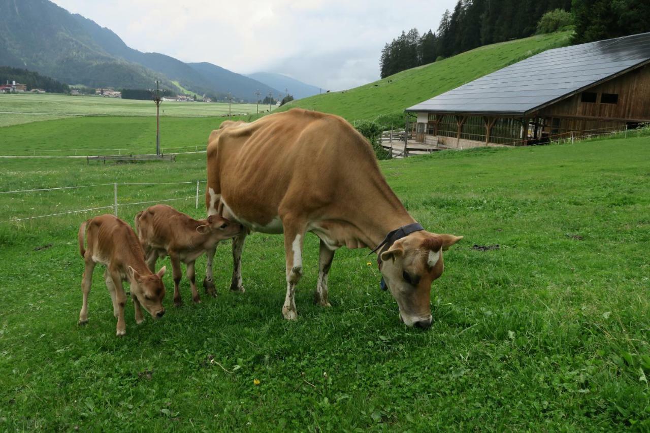 Baumannhof Lägenhet Toblach Exteriör bild