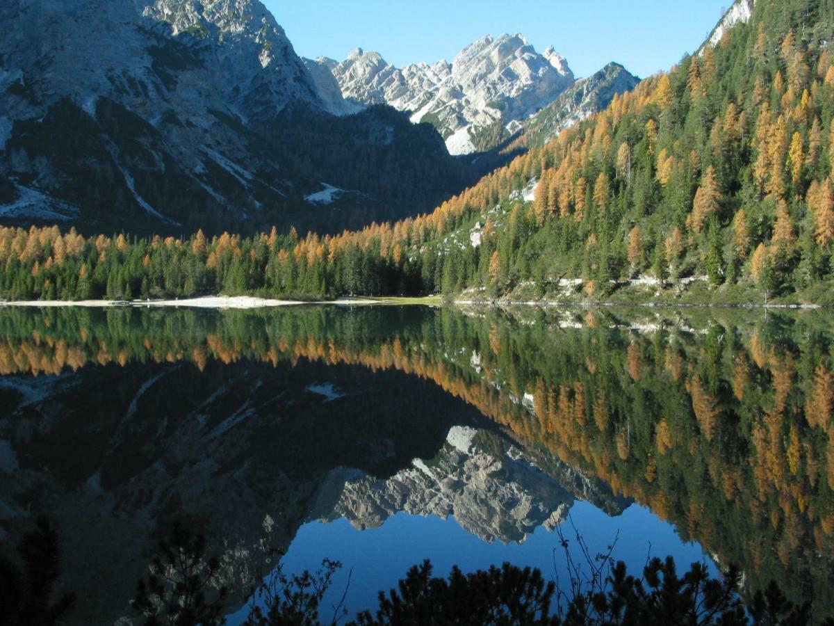 Baumannhof Lägenhet Toblach Exteriör bild