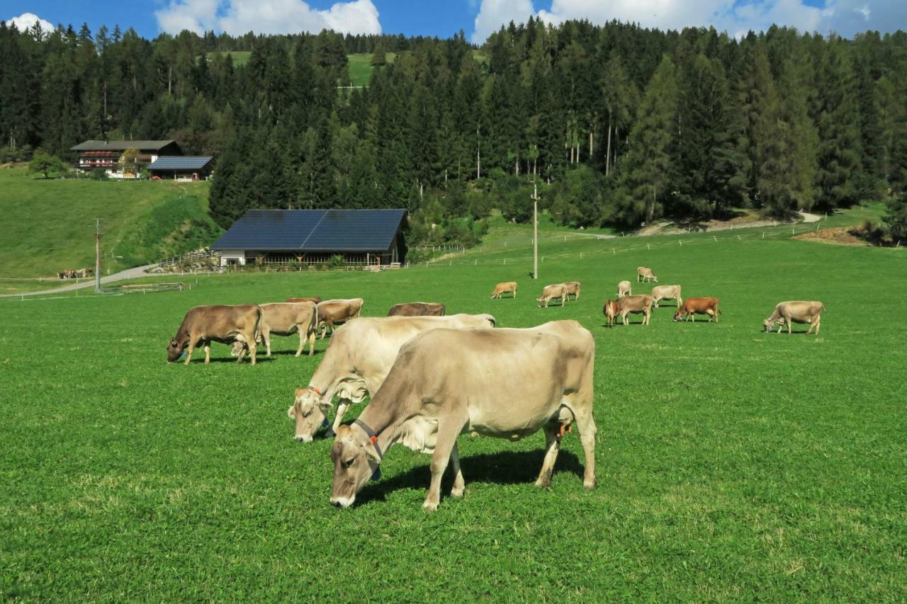 Baumannhof Lägenhet Toblach Exteriör bild