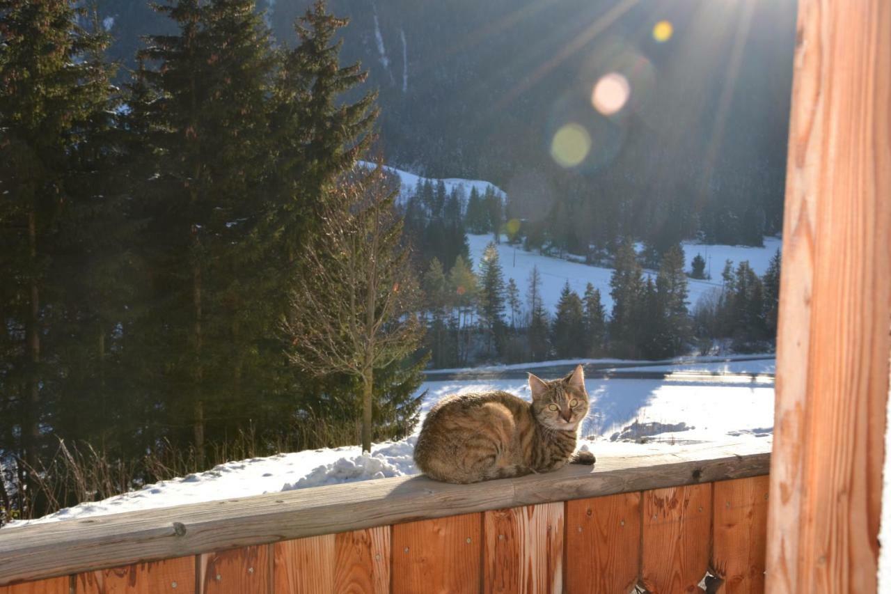 Baumannhof Lägenhet Toblach Exteriör bild