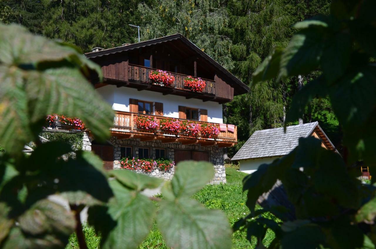 Baumannhof Lägenhet Toblach Exteriör bild